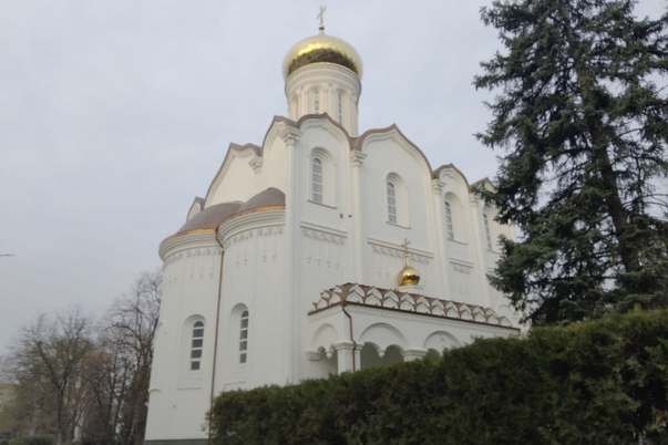 Галерея лучших фото