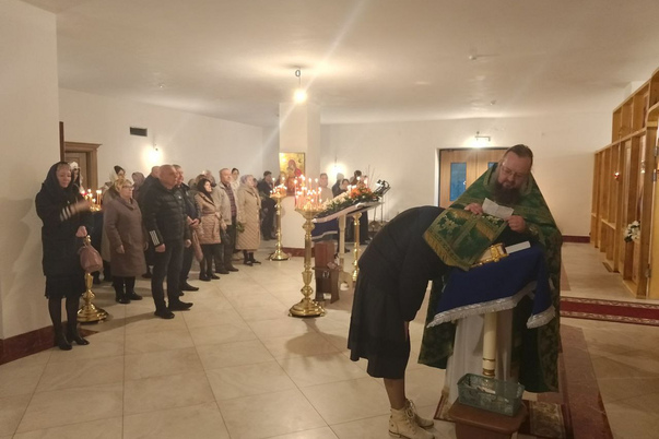 Галерея лучших фото
